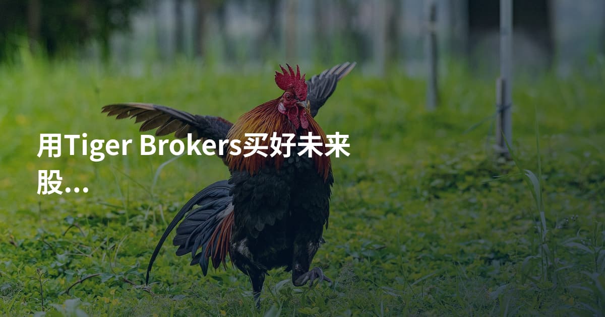 用Tiger Brokers买好未来股票