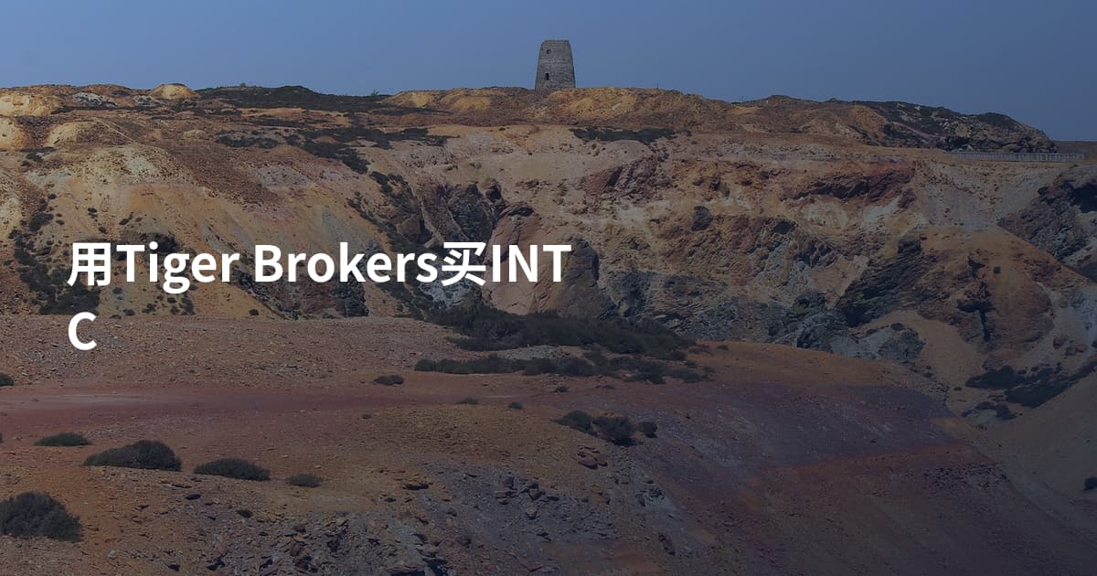 用Tiger Brokers买INTC