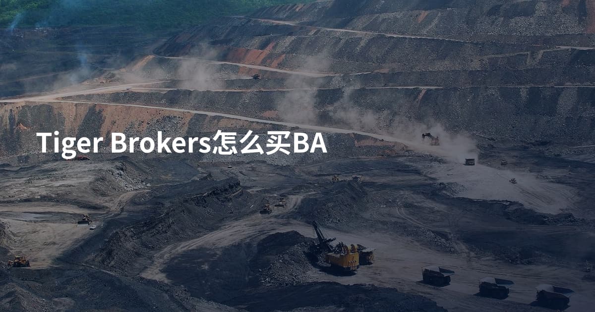 Tiger Brokers怎么买BA