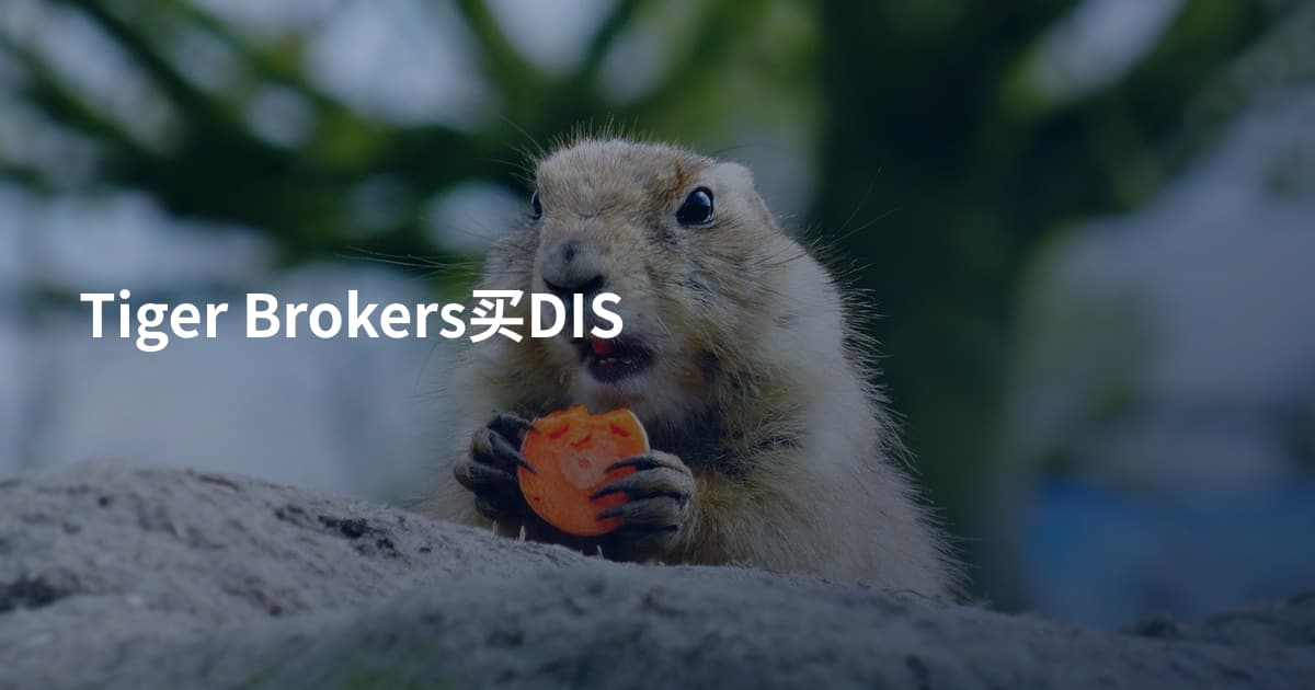 Tiger Brokers买DIS