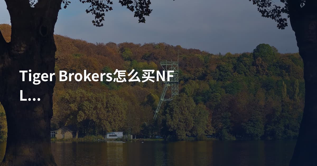 Tiger Brokers怎么买NFLX