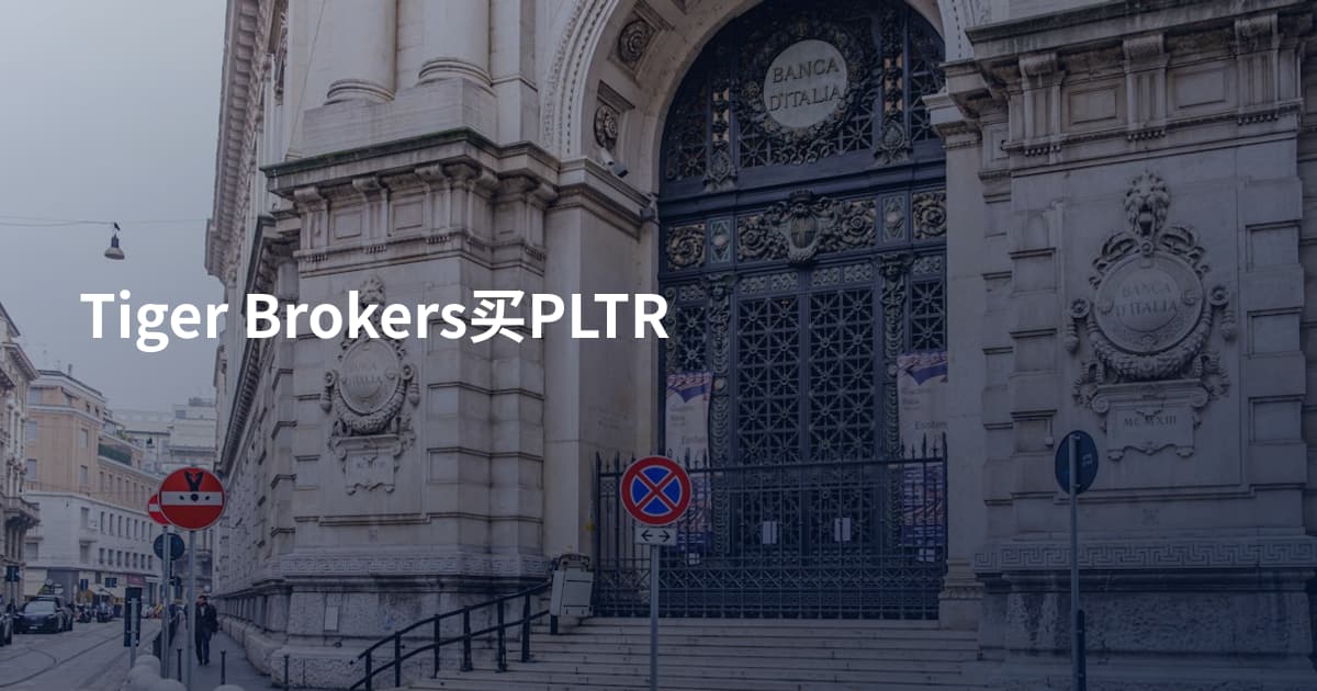 Tiger Brokers买PLTR