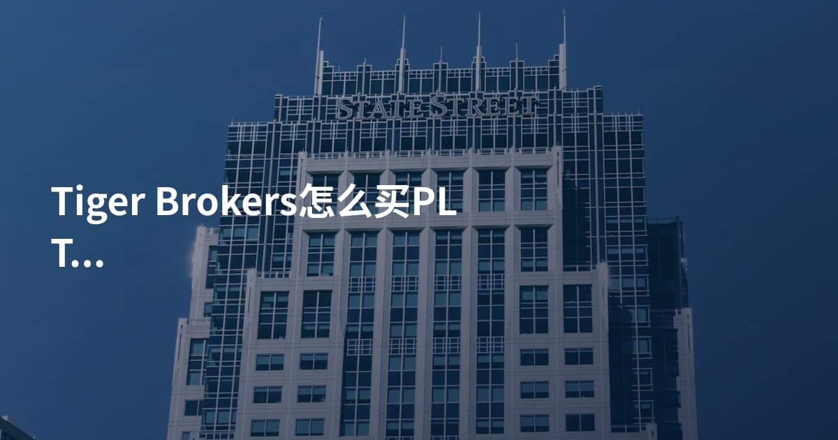 Tiger Brokers怎么买PLTR