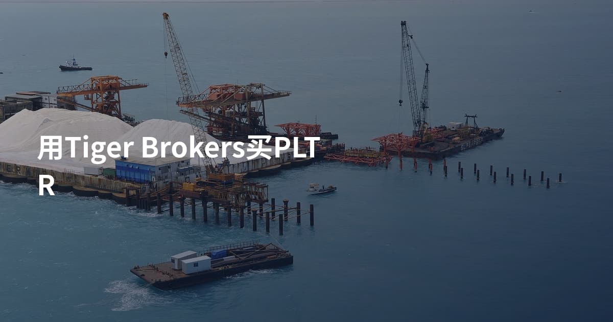 用Tiger Brokers买PLTR