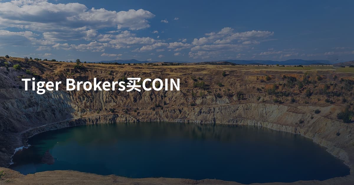 Tiger Brokers买COIN