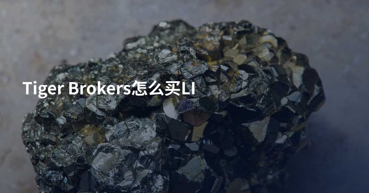 Tiger Brokers怎么买LI