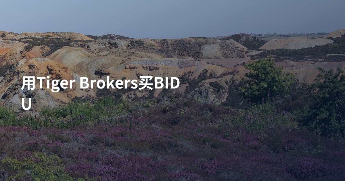 用Tiger Brokers买BIDU
