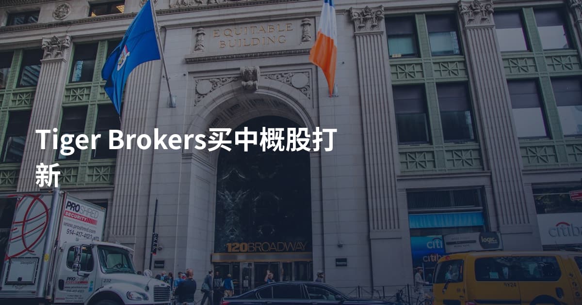 Tiger Brokers买中概股打新