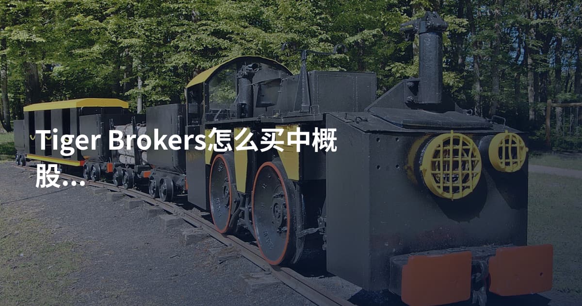 Tiger Brokers怎么买中概股打新