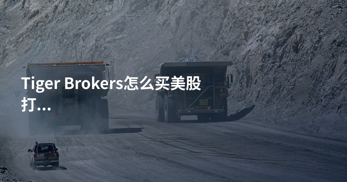 Tiger Brokers怎么买美股打新攻略