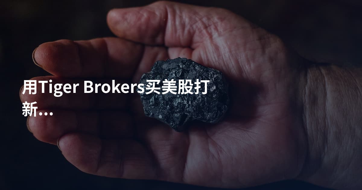 用Tiger Brokers买美股打新攻略