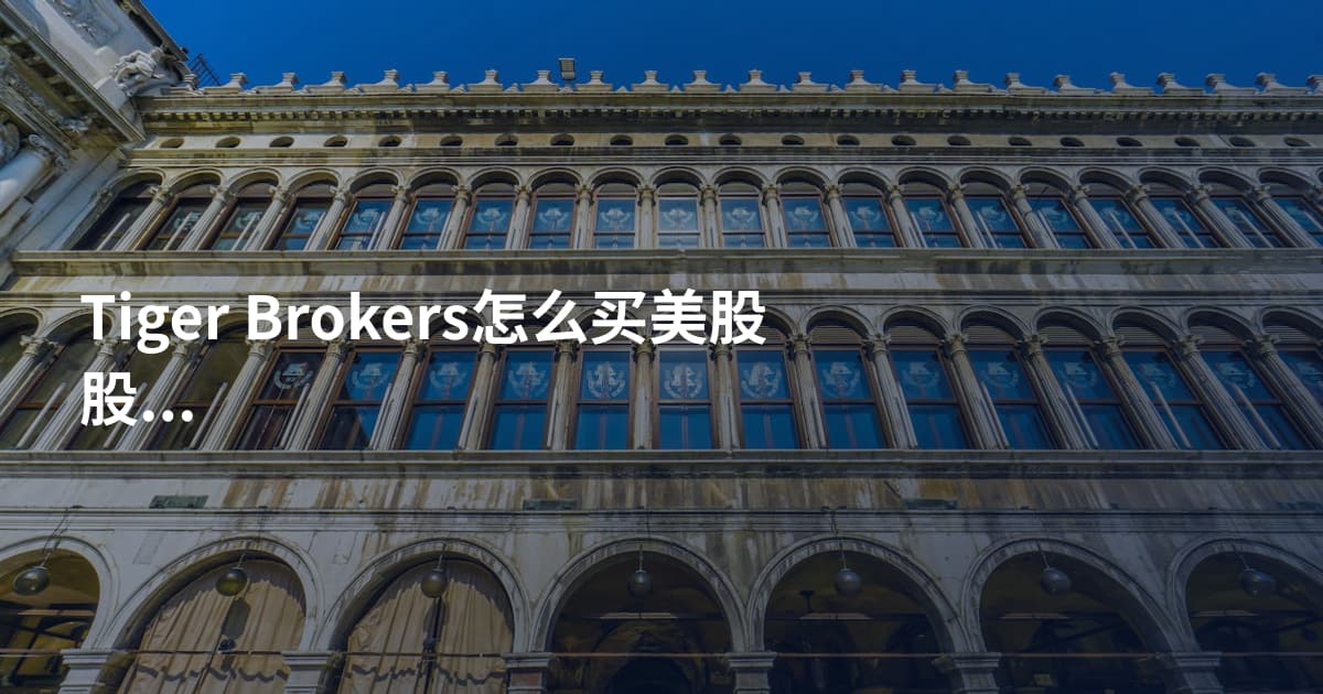 Tiger Brokers怎么买美股股票代码查询