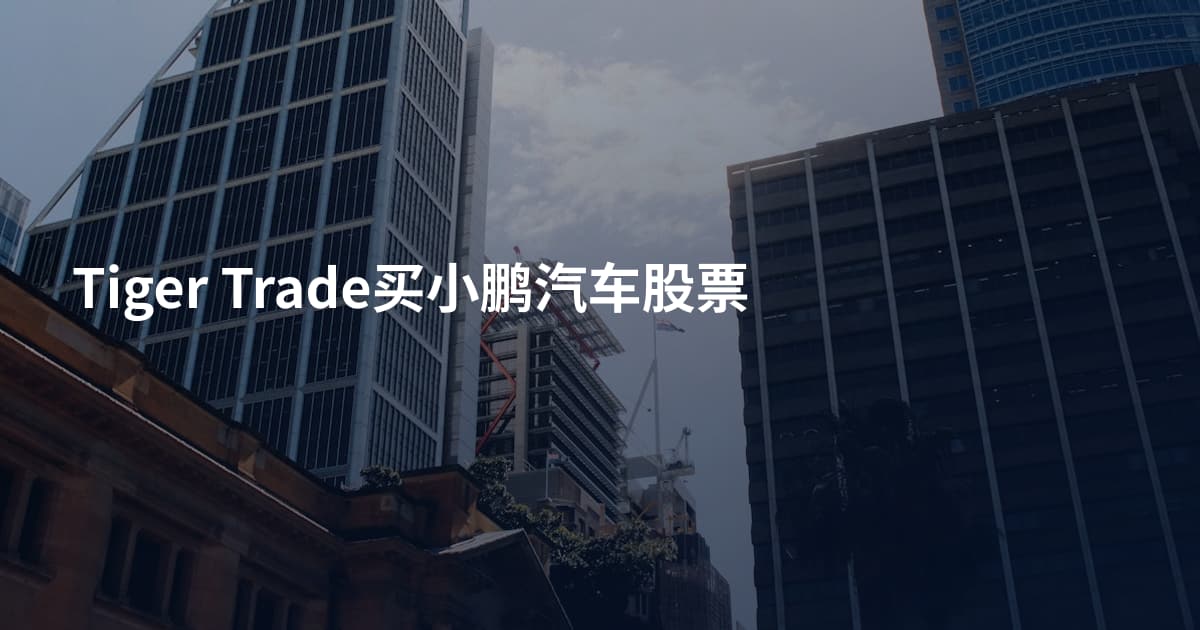 Tiger Trade买小鹏汽车股票