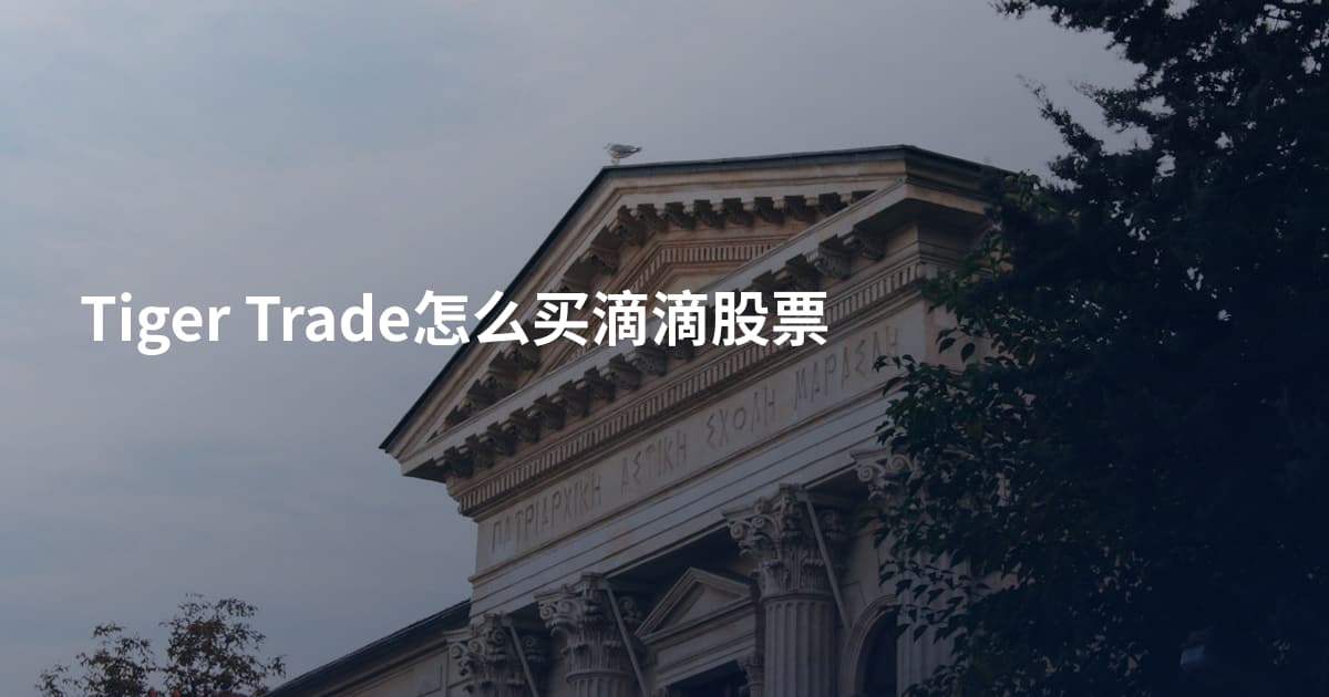 Tiger Trade怎么买滴滴股票
