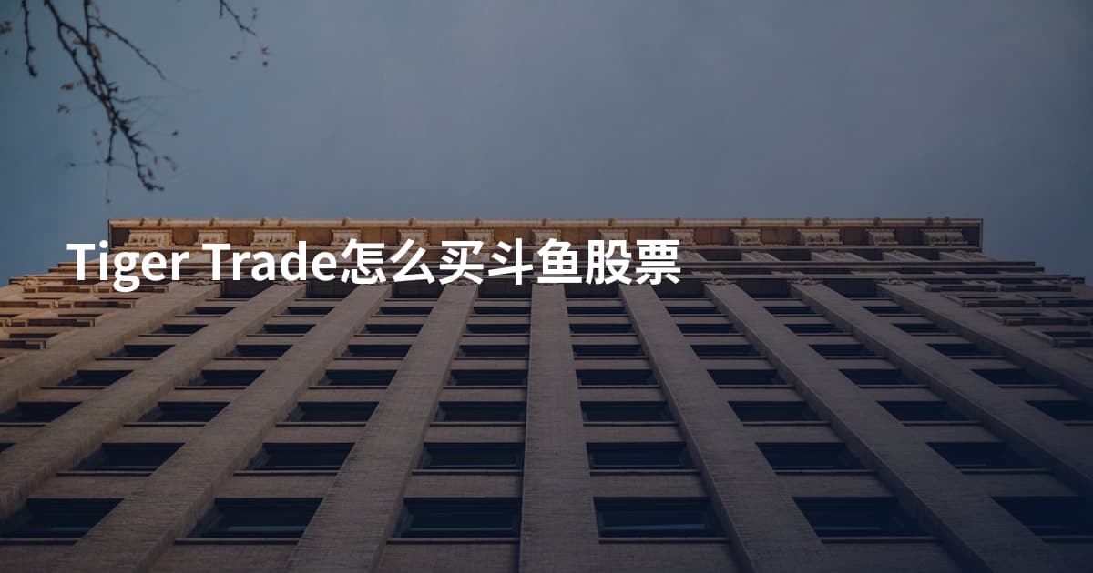 Tiger Trade怎么买斗鱼股票