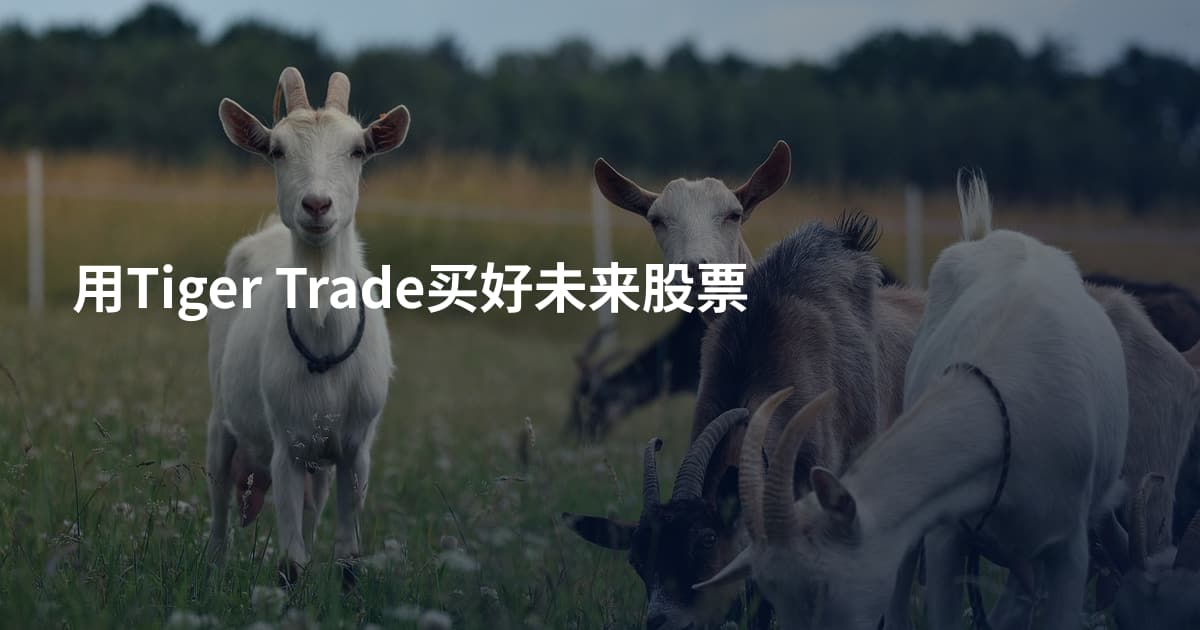 用Tiger Trade买好未来股票