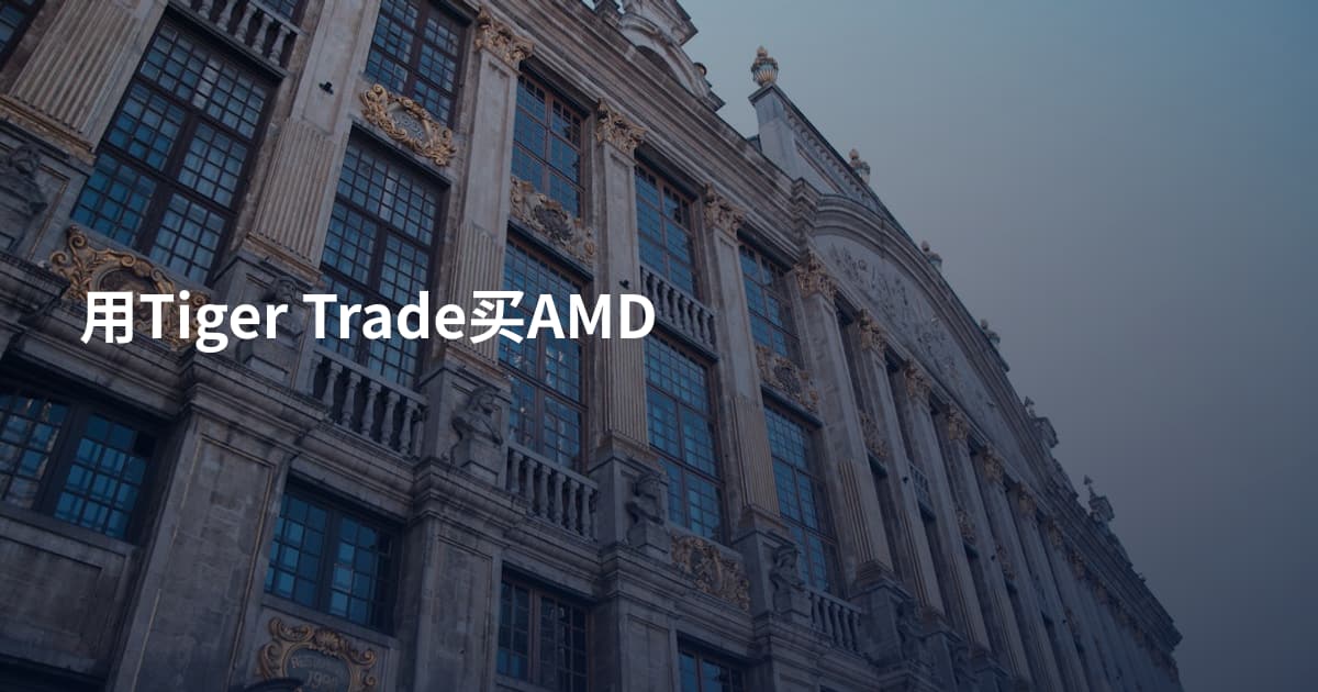 用Tiger Trade买AMD