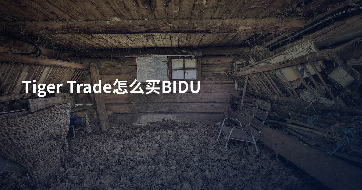 Tiger Trade怎么买BIDU
