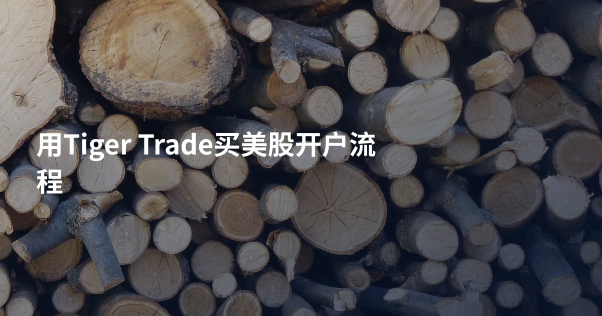 用Tiger Trade买美股开户流程
