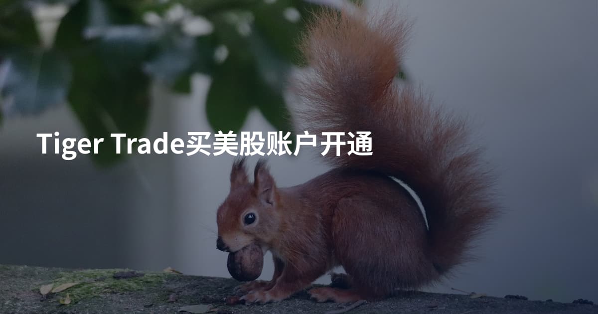 Tiger Trade买美股账户开通