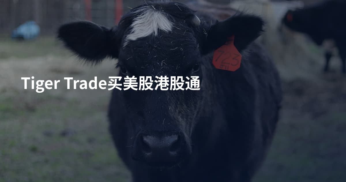 Tiger Trade买美股港股通