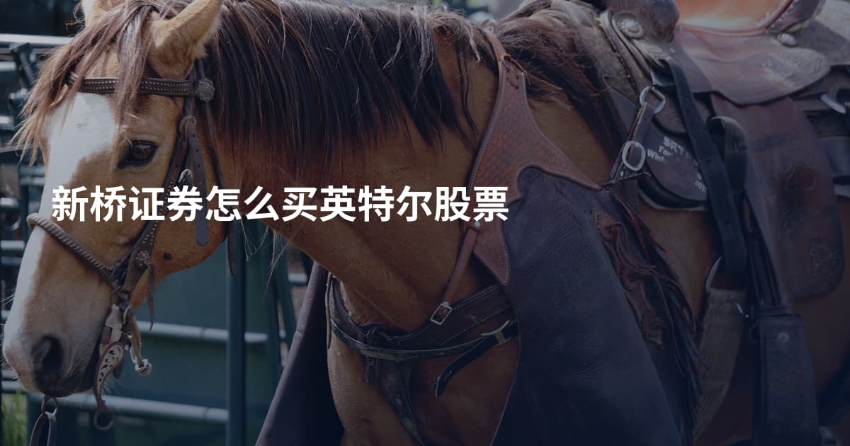 新桥证券怎么买英特尔股票