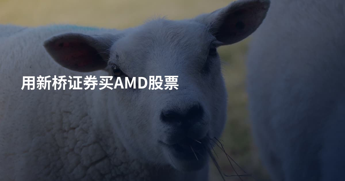 用新桥证券买AMD股票