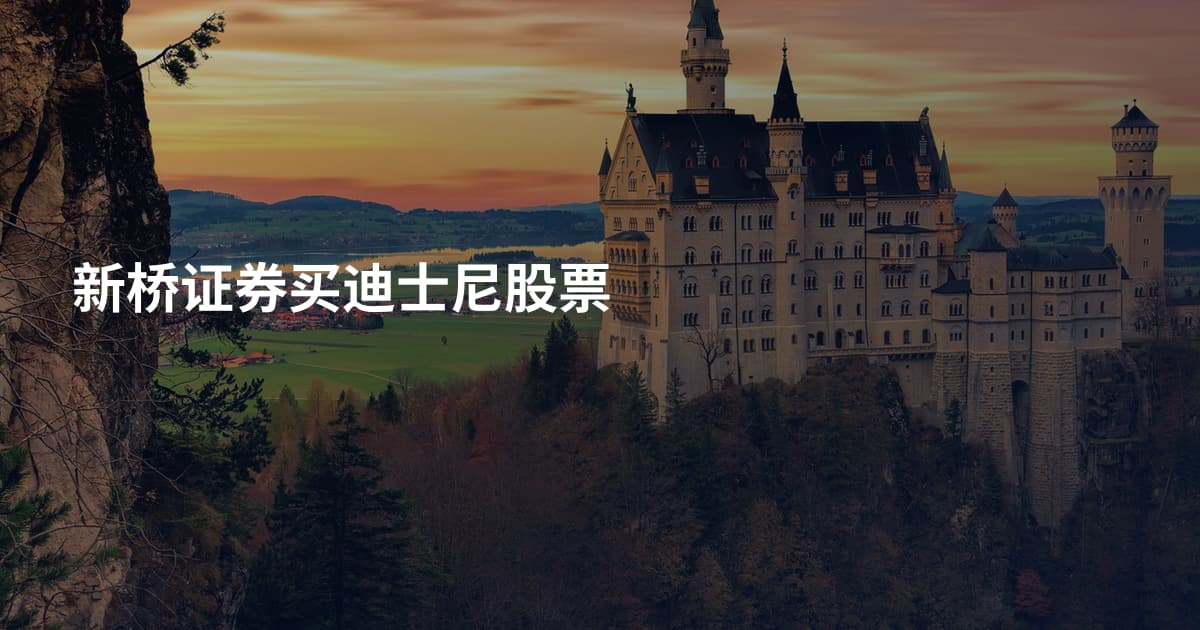 新桥证券买迪士尼股票