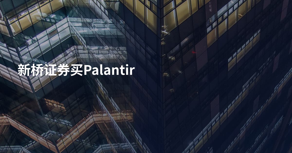 新桥证券买Palantir