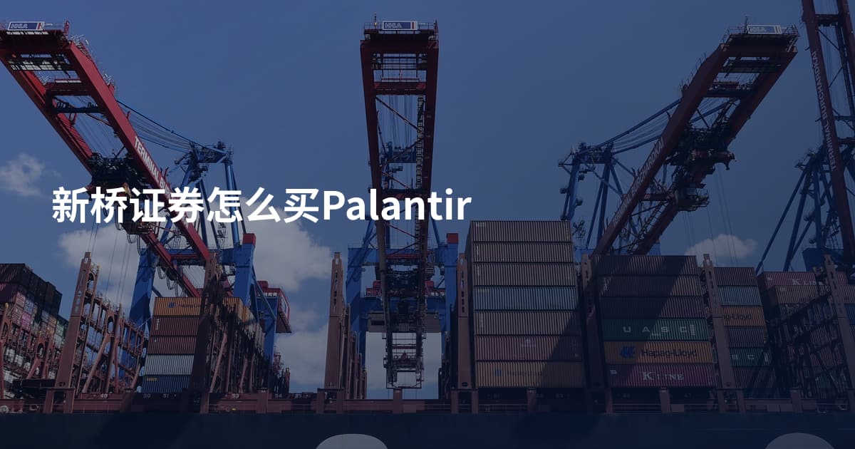 新桥证券怎么买Palantir