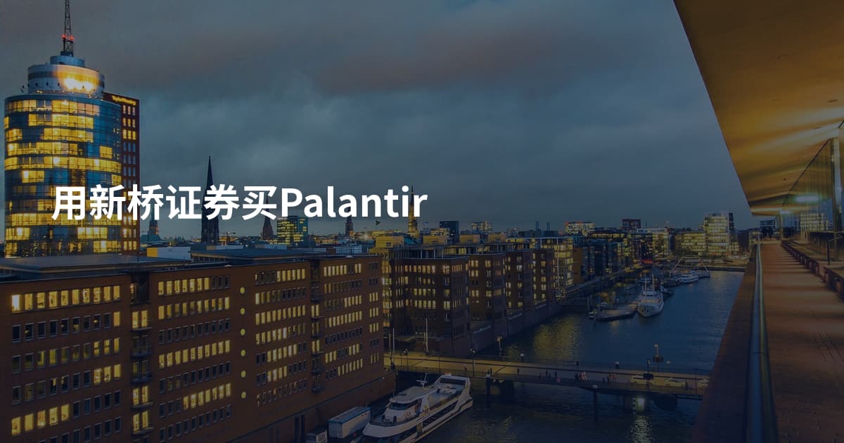 用新桥证券买Palantir