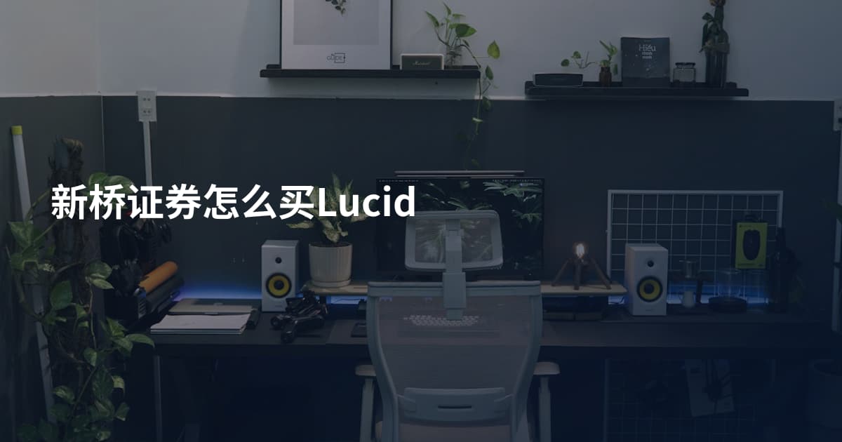新桥证券怎么买Lucid
