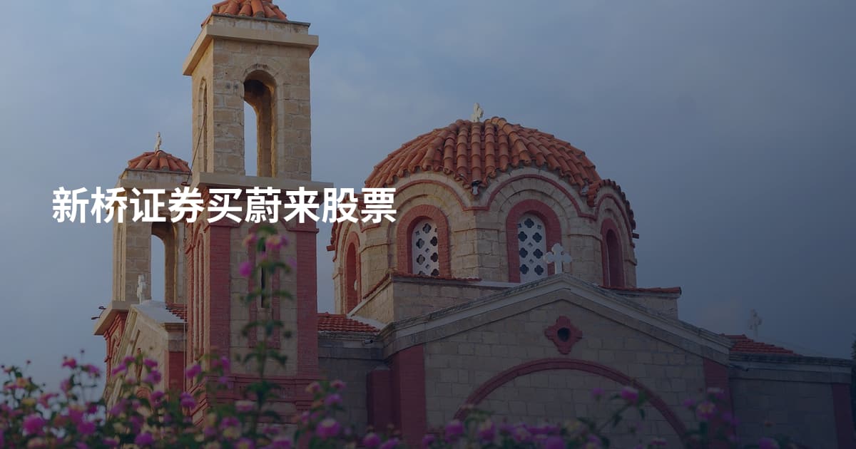 新桥证券买蔚来股票