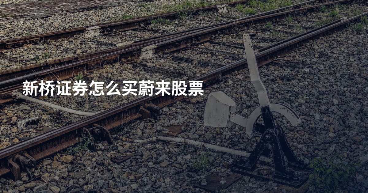 新桥证券怎么买蔚来股票