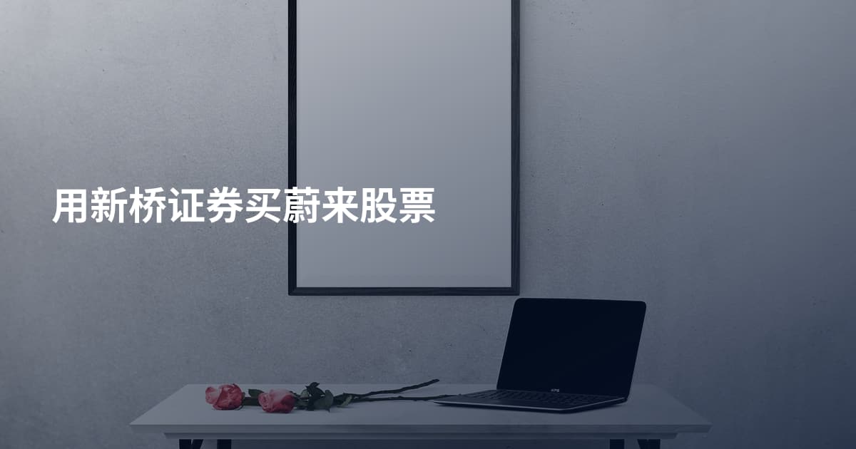 用新桥证券买蔚来股票