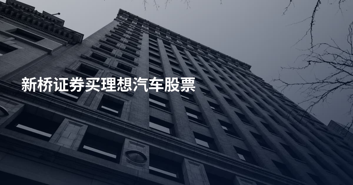 新桥证券买理想汽车股票