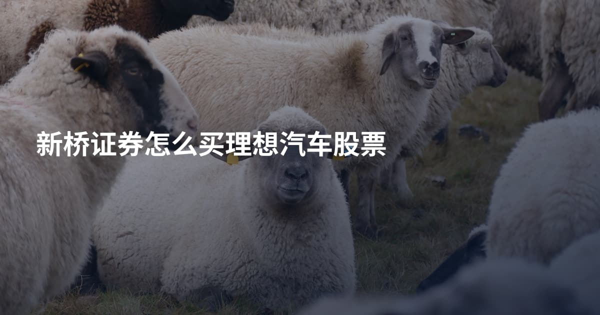 新桥证券怎么买理想汽车股票