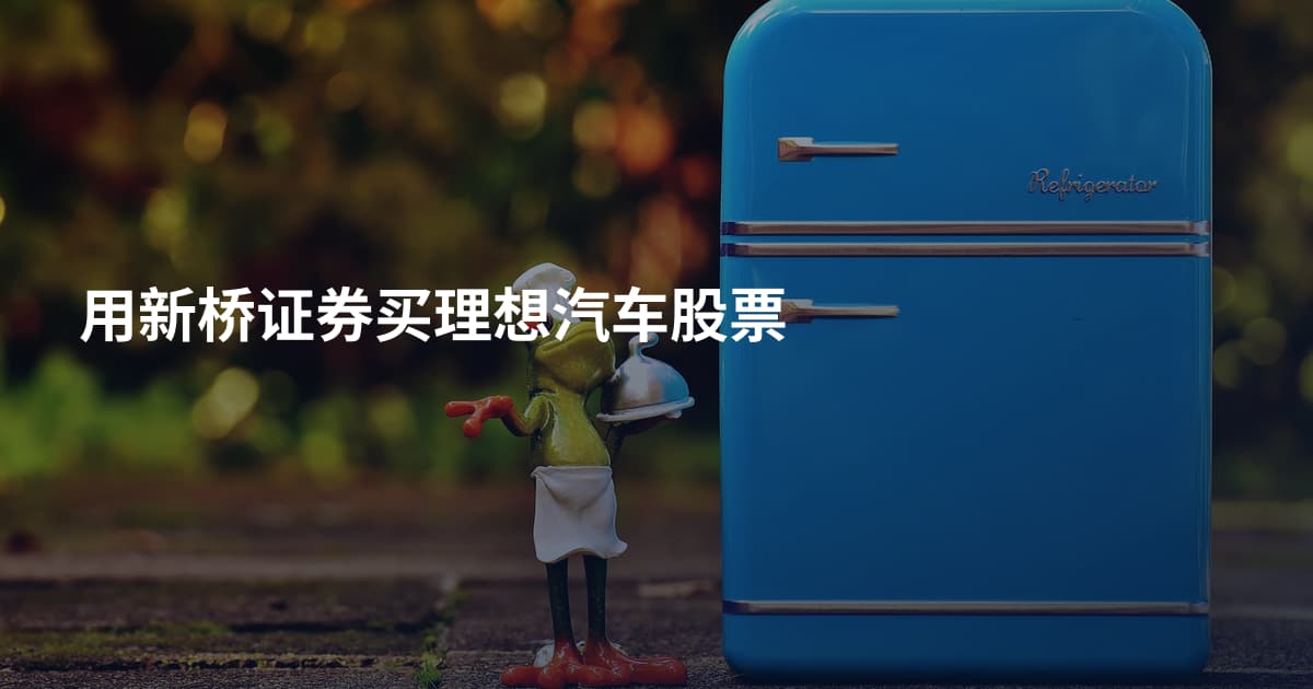 用新桥证券买理想汽车股票