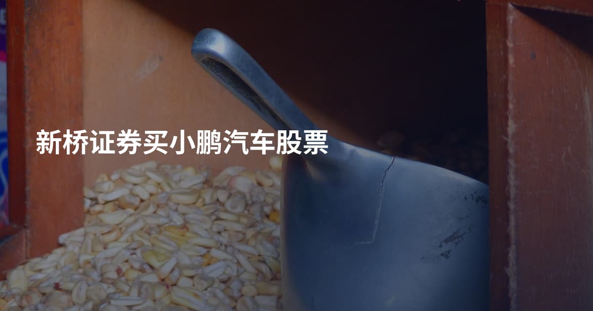 新桥证券买小鹏汽车股票