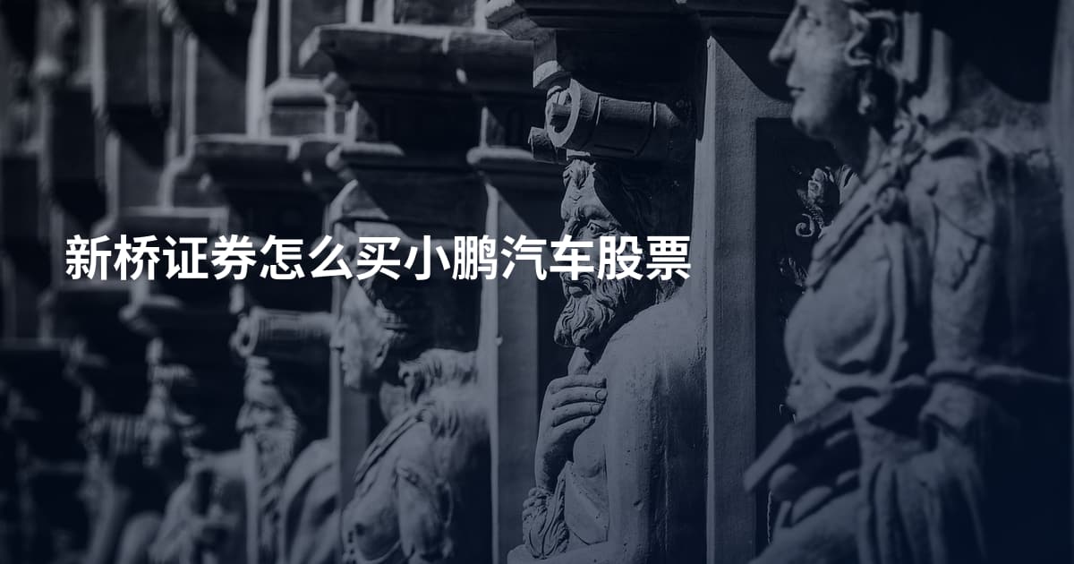 新桥证券怎么买小鹏汽车股票