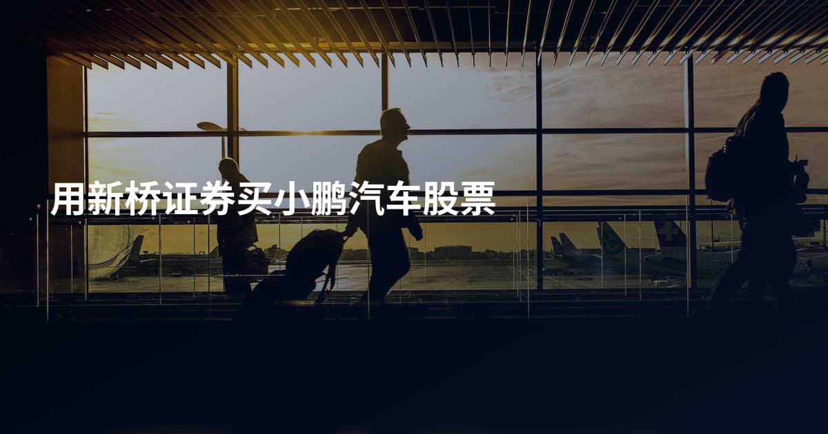用新桥证券买小鹏汽车股票
