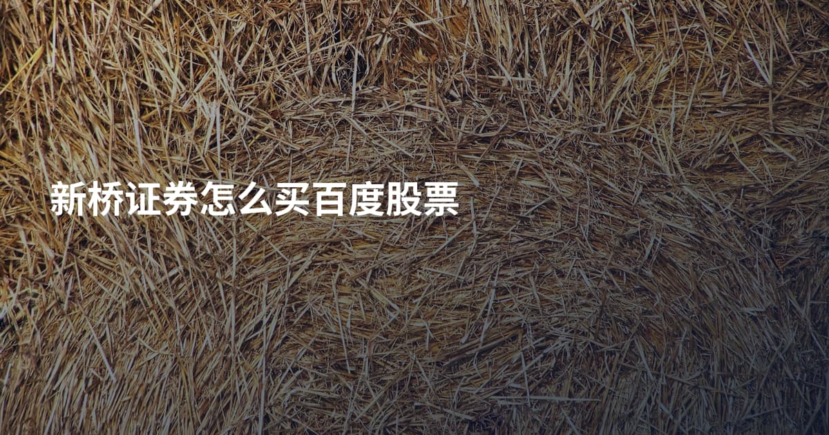 新桥证券怎么买百度股票