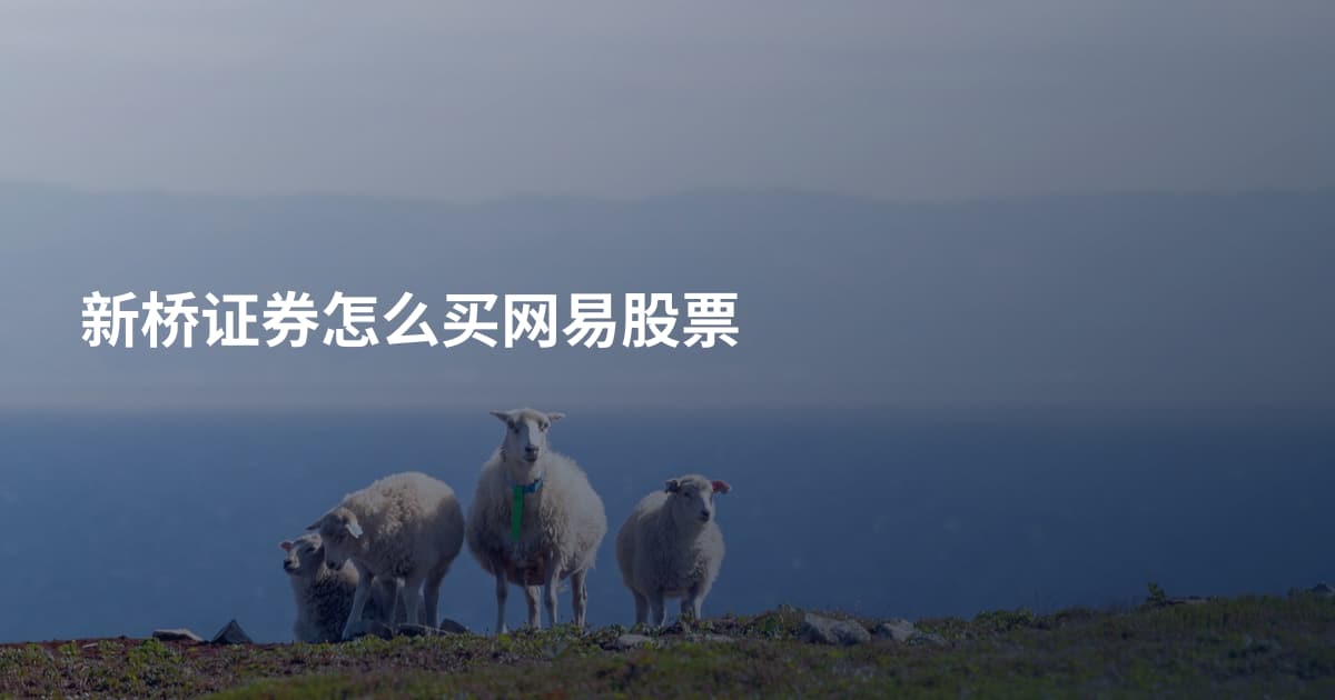 新桥证券怎么买网易股票