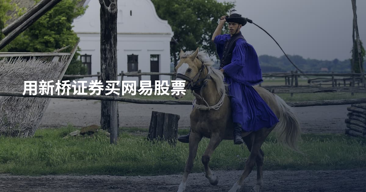 用新桥证券买网易股票