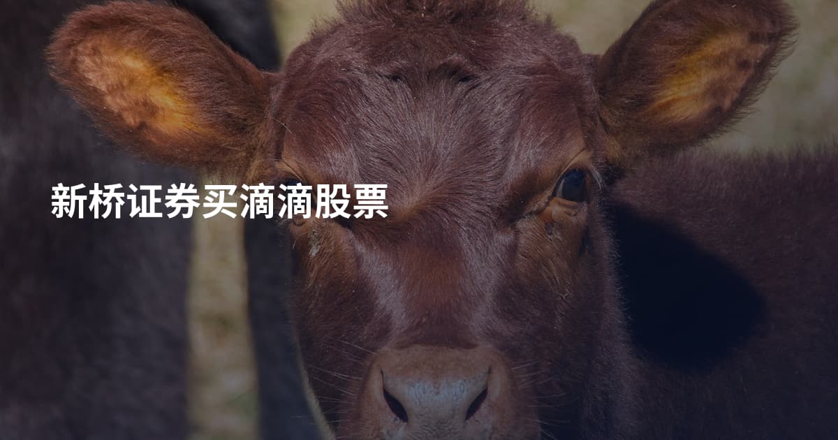 新桥证券买滴滴股票