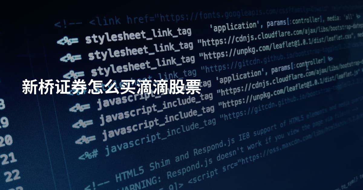 新桥证券怎么买滴滴股票
