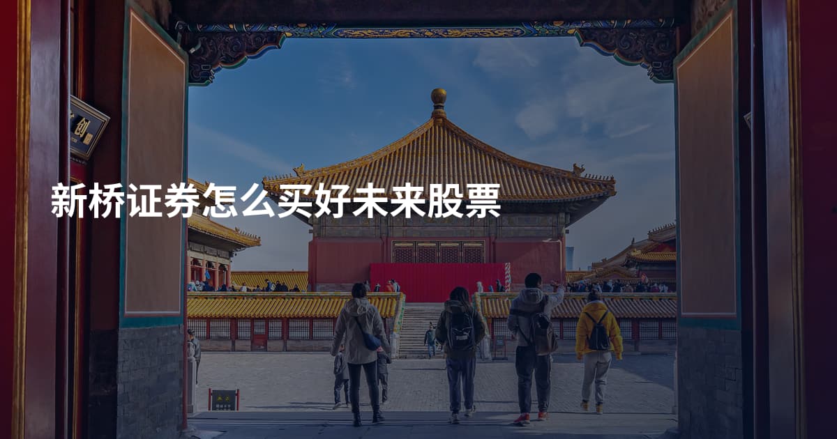 新桥证券怎么买好未来股票