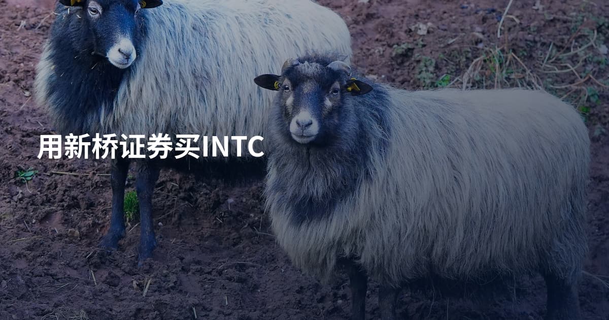 用新桥证券买INTC