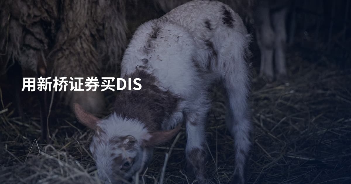用新桥证券买DIS