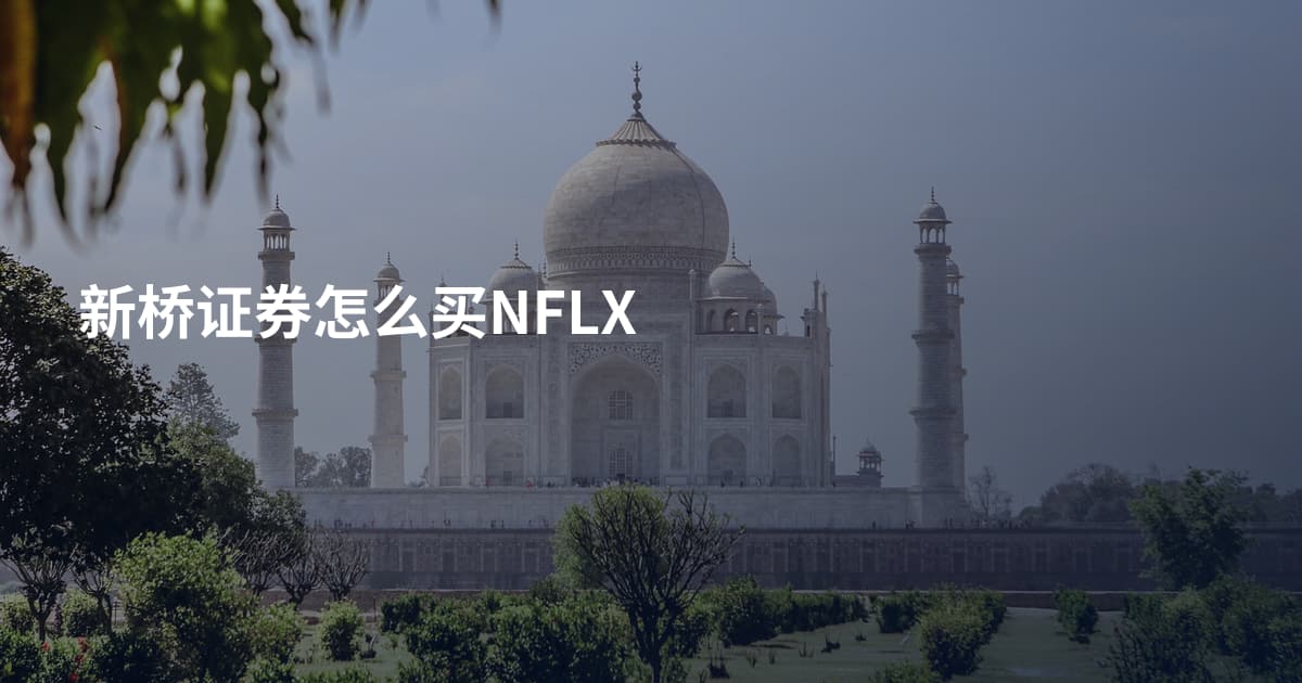 新桥证券怎么买NFLX